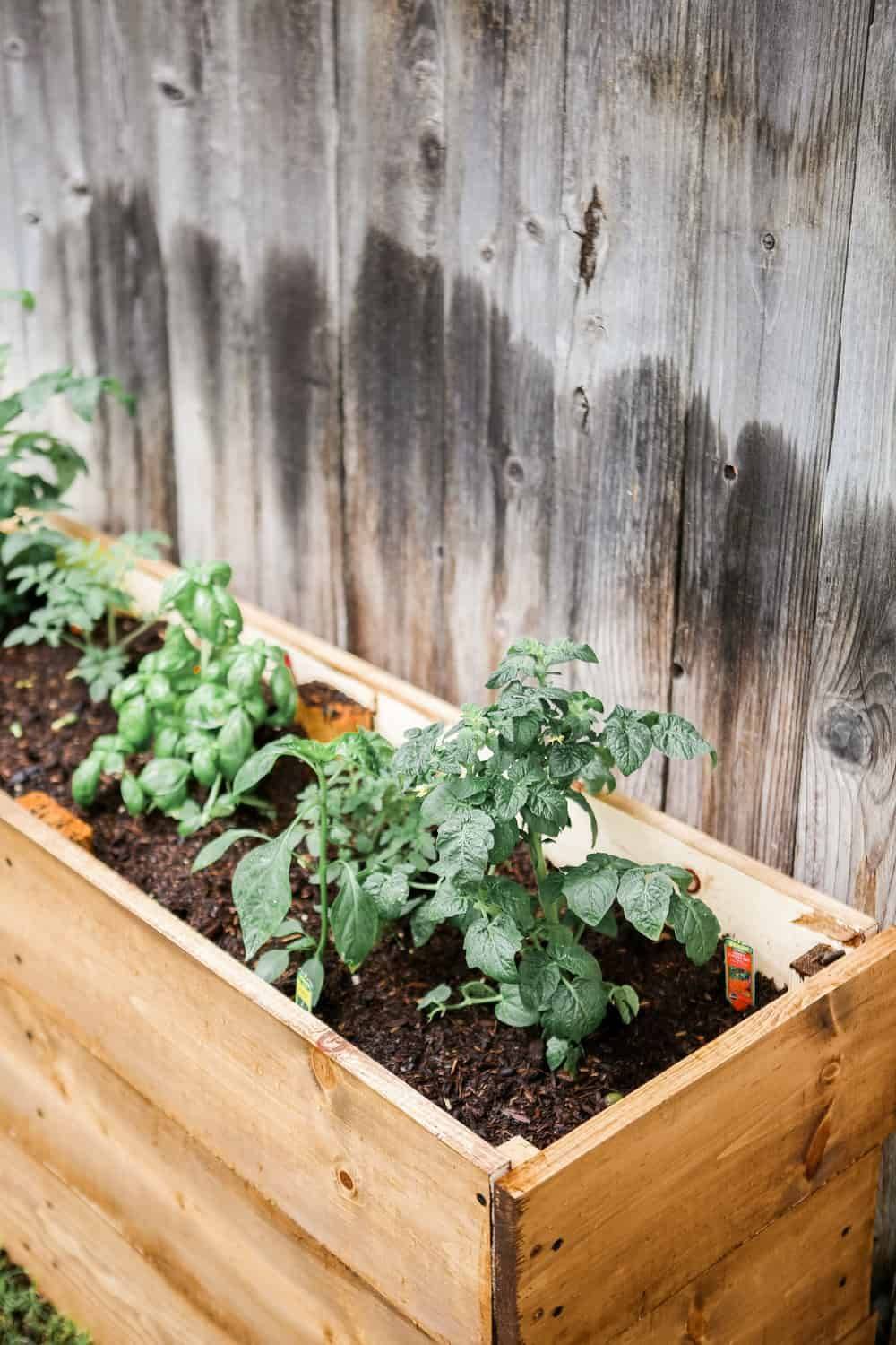 Diy Vertical Herb Garden