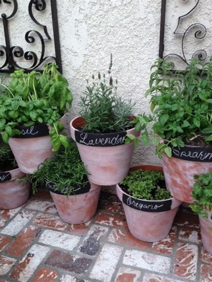 An Easy Tabletop Diy Herb Garden