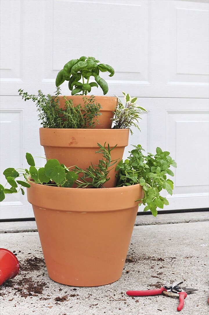 Unique Herb Garden Ideas