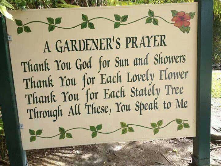 Pinterest Scriptures