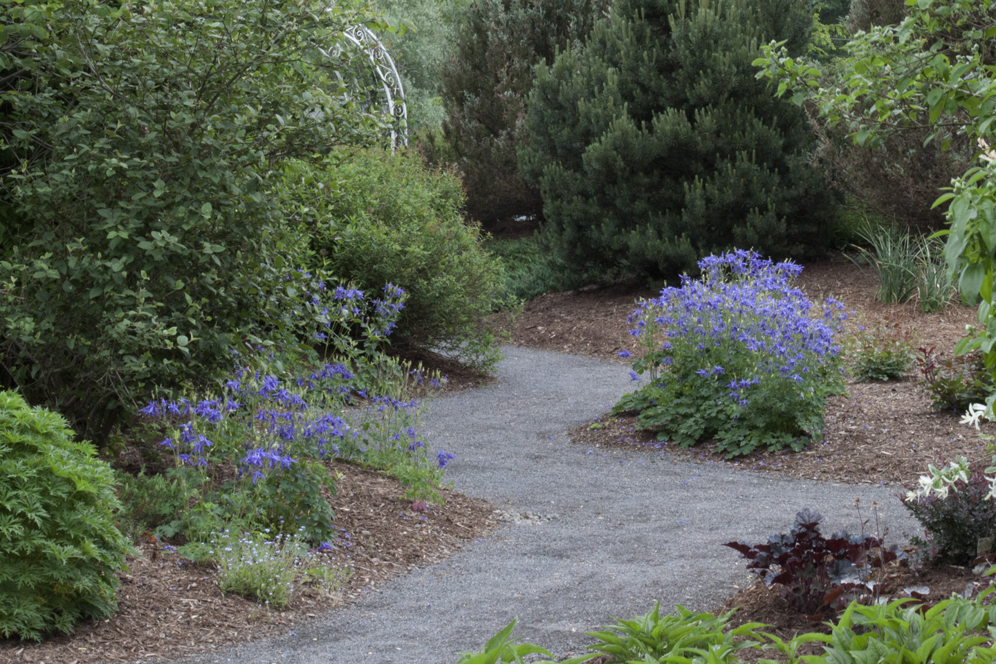 The Latest Pandemic Project Trend