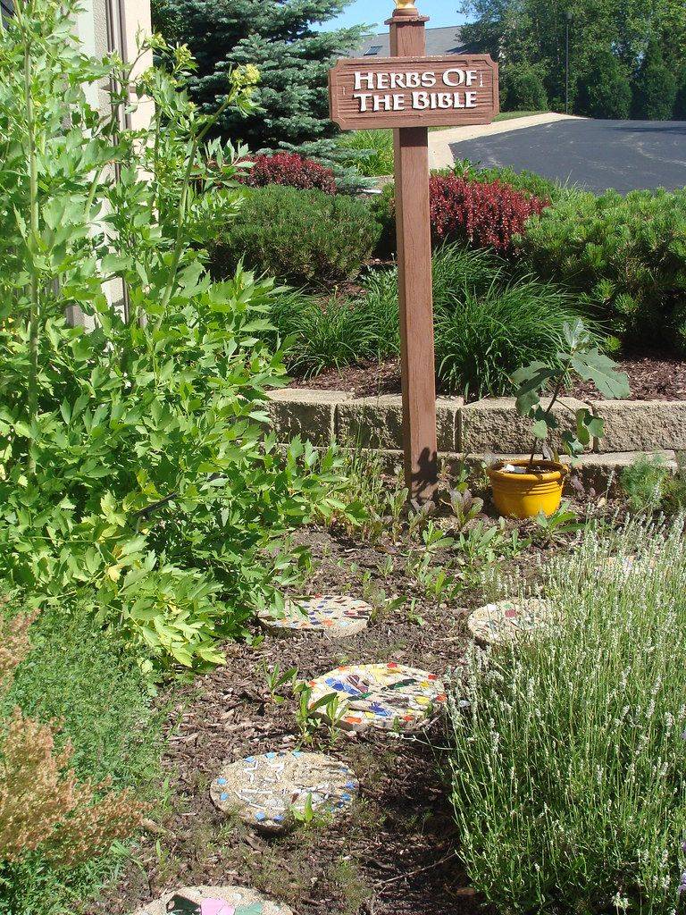 Unique Small Gardens Ideas