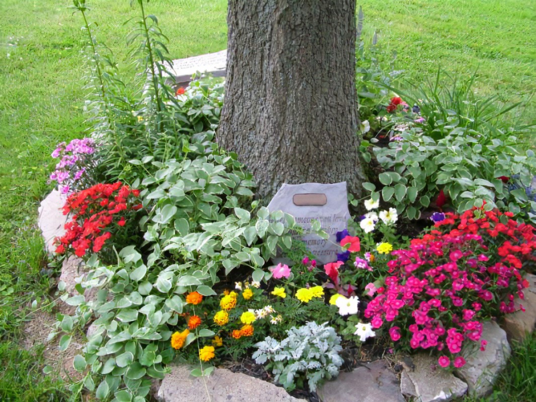 White Rose Garden Commemorates