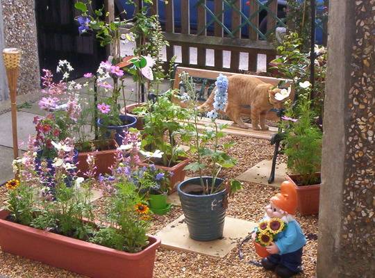 Sweet Simple School Garden Design Ideas Page