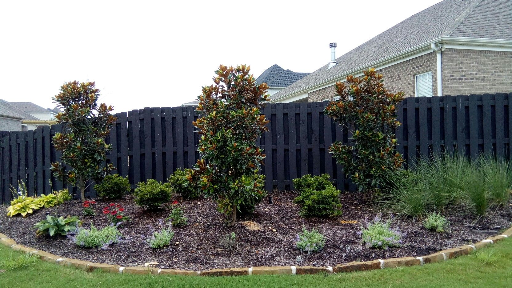 Very Cute Lemon Cypress Fairy Garden