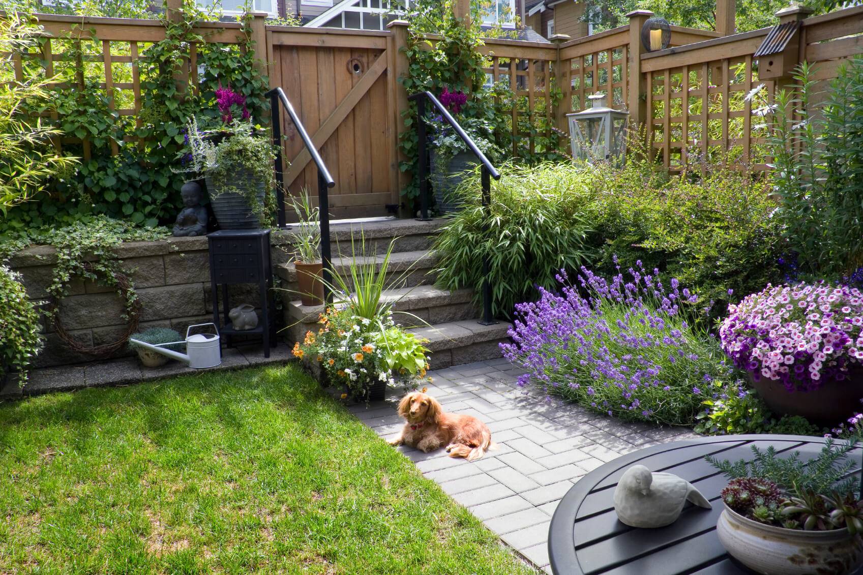 Diy Trellis
