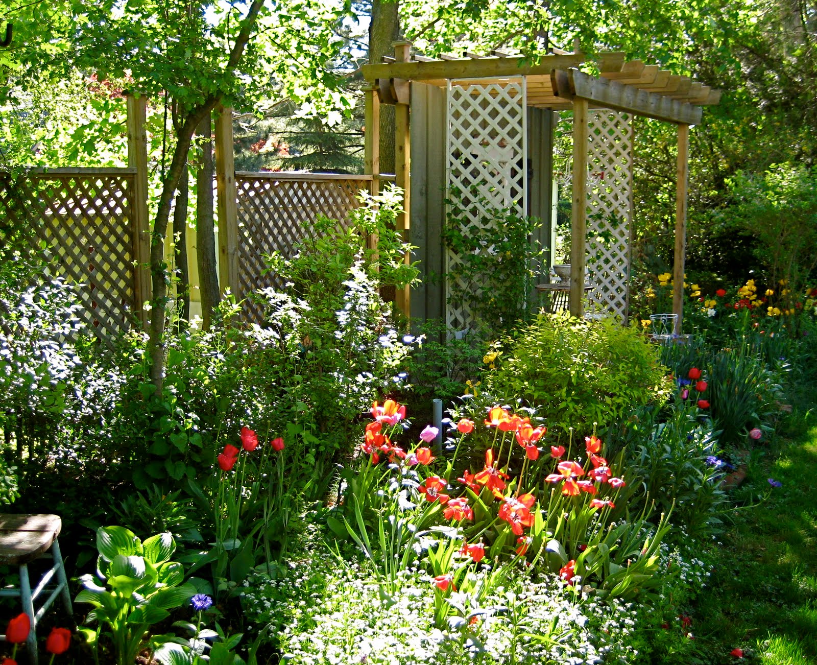 Creative And Easy Diy Trellis Ideas