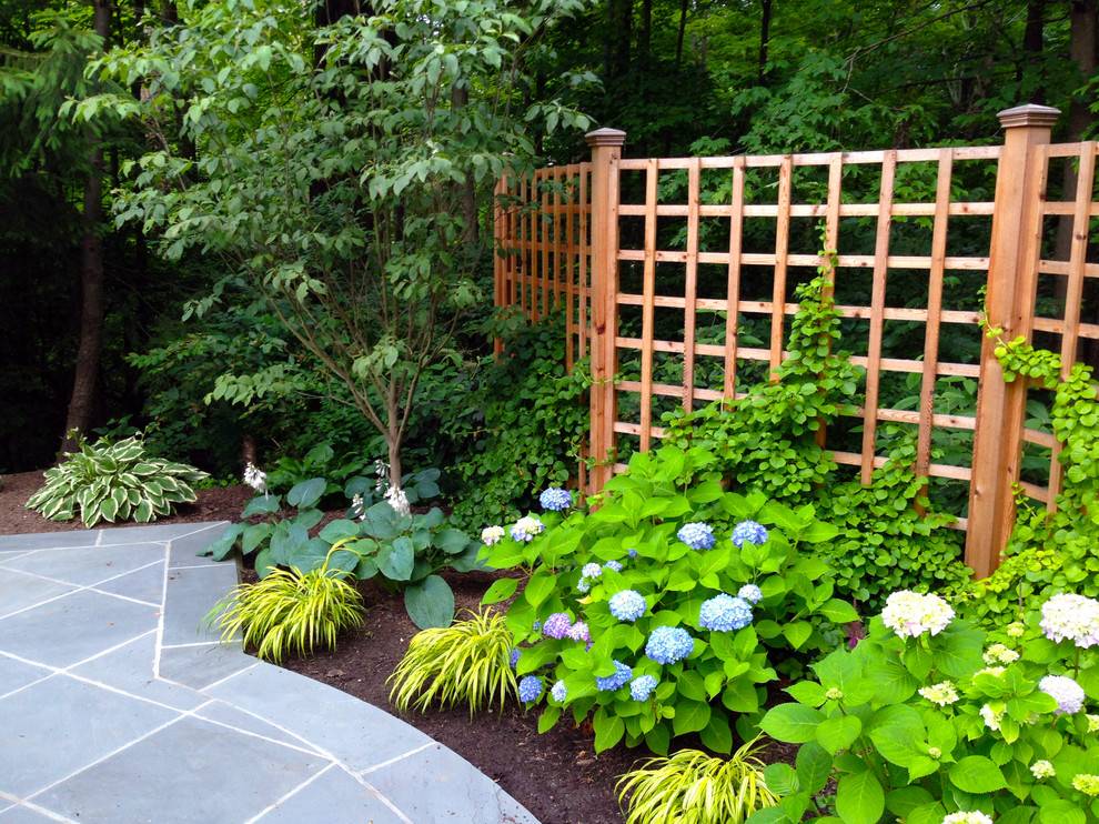 Creative And Easy Diy Trellis Ideas