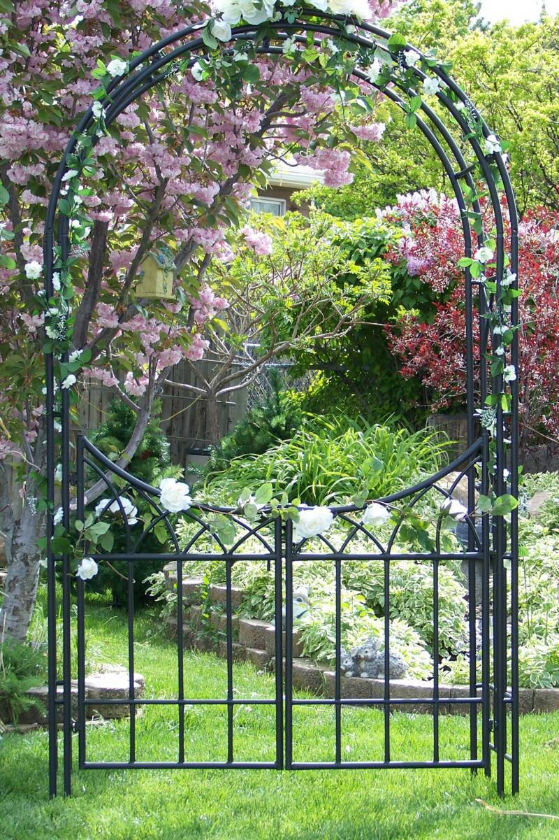 Creative Lattice Fence Ideas
