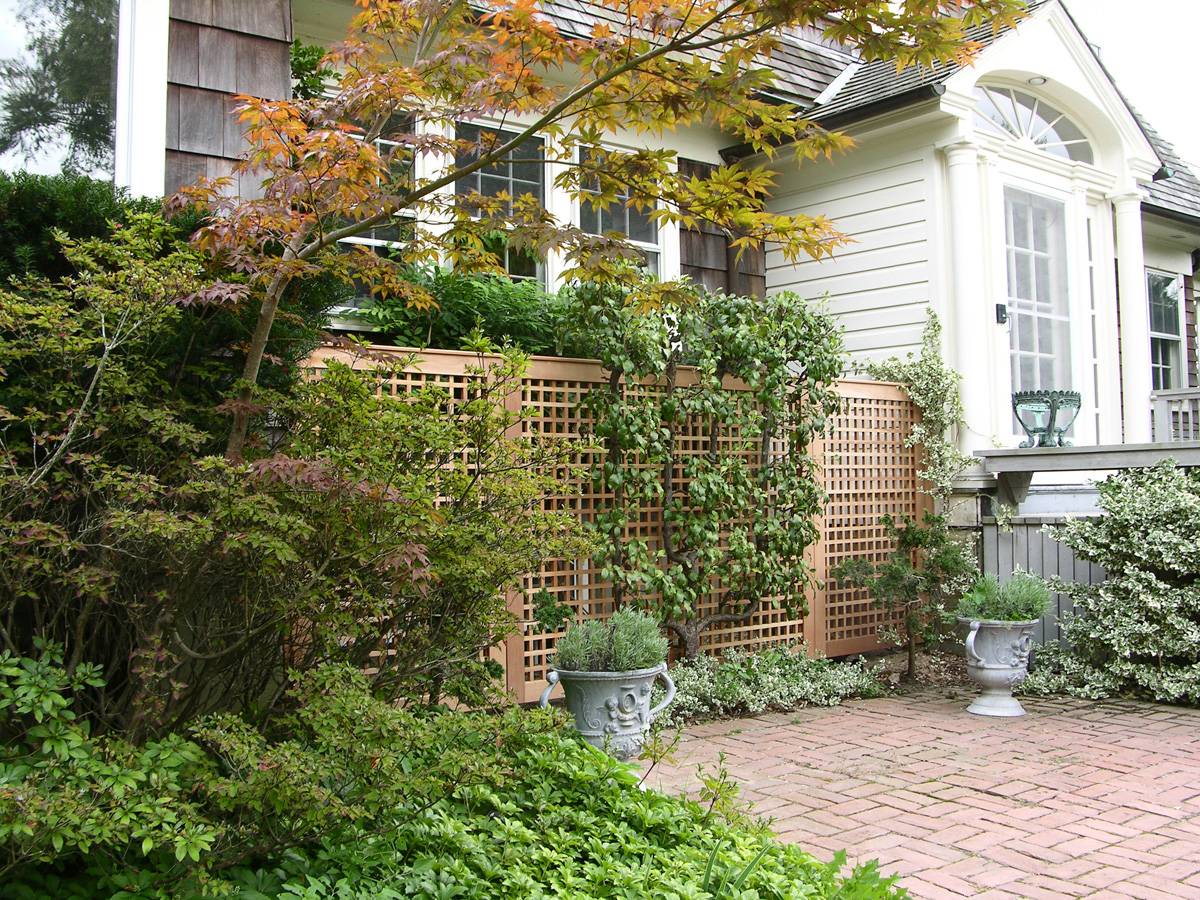 Creative Lattice Fence Ideas