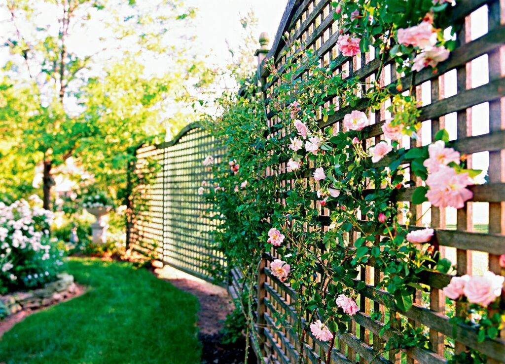 Garden Trellis Decoration Ideas Garden Design