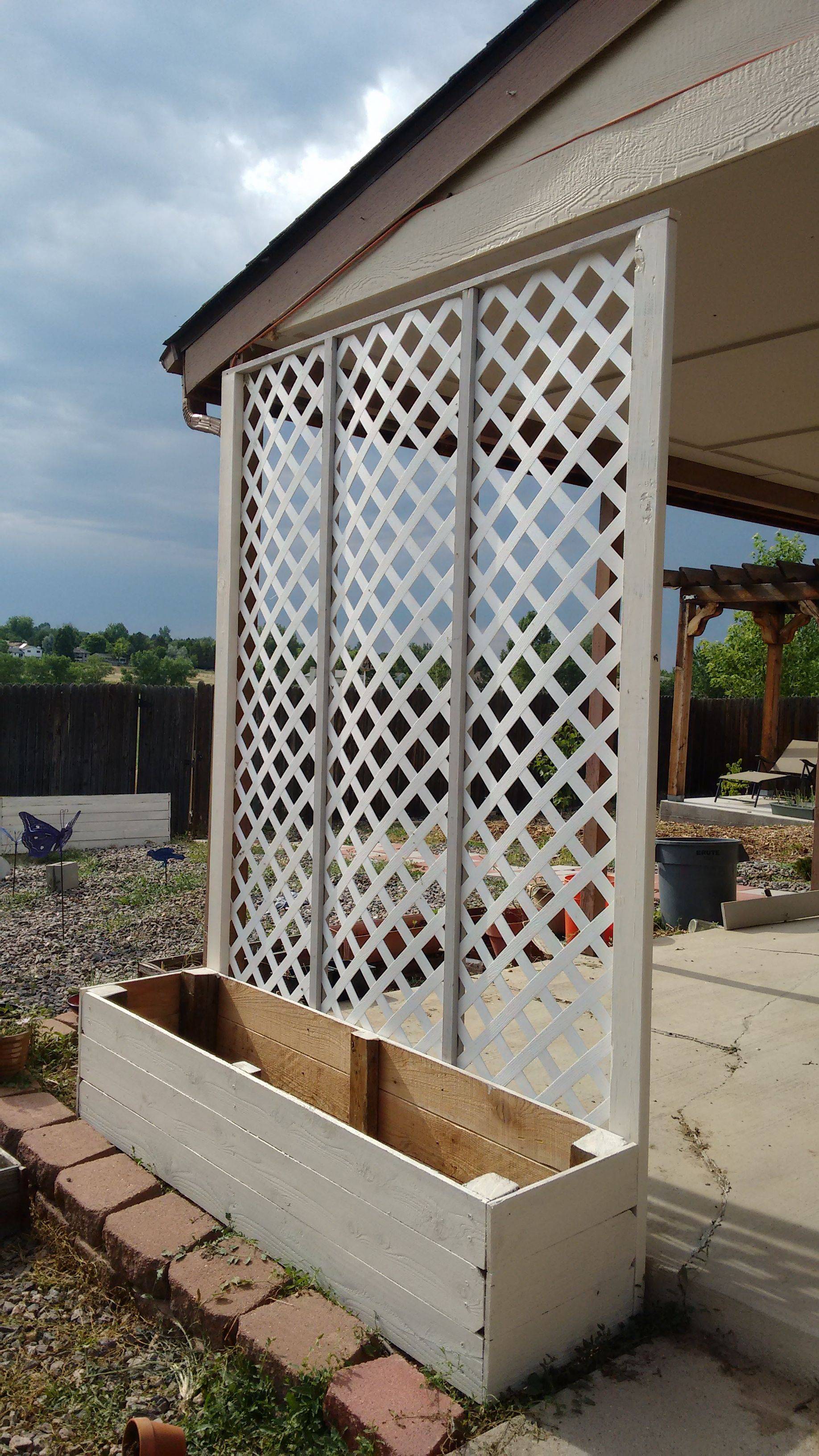 A Trellis Privacy Screen
