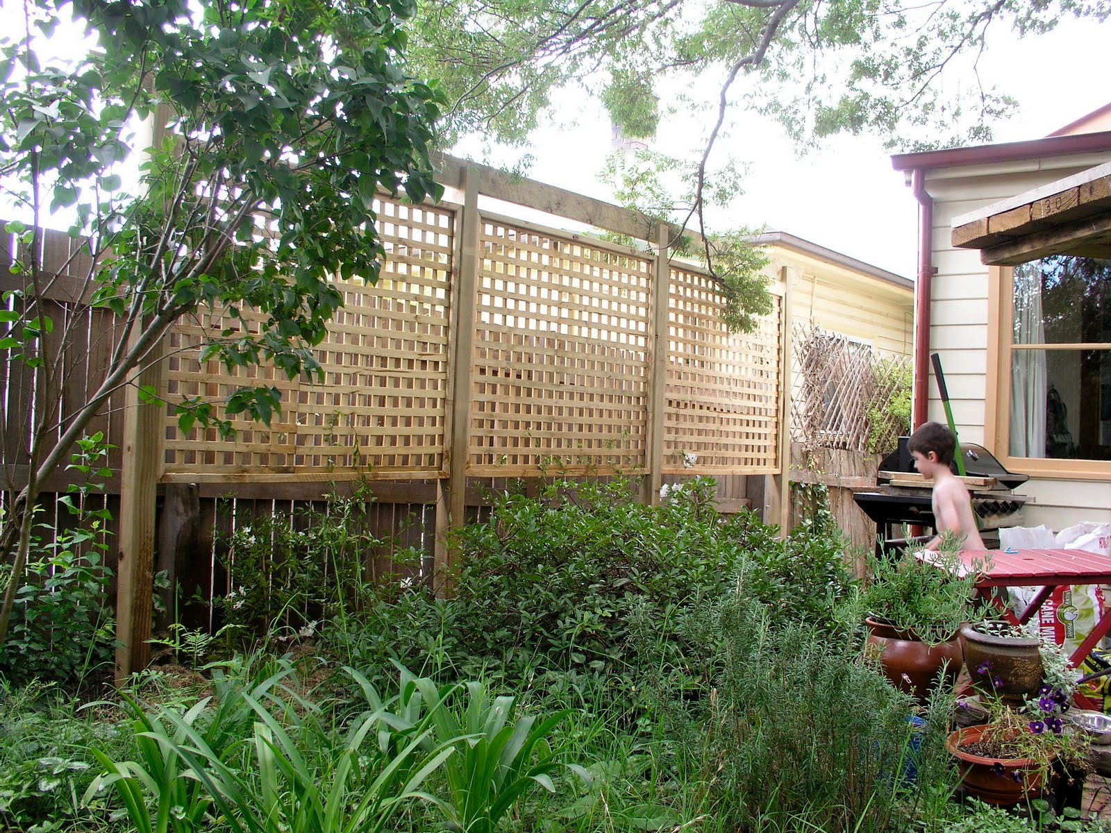 Backyard Privacy Ideas