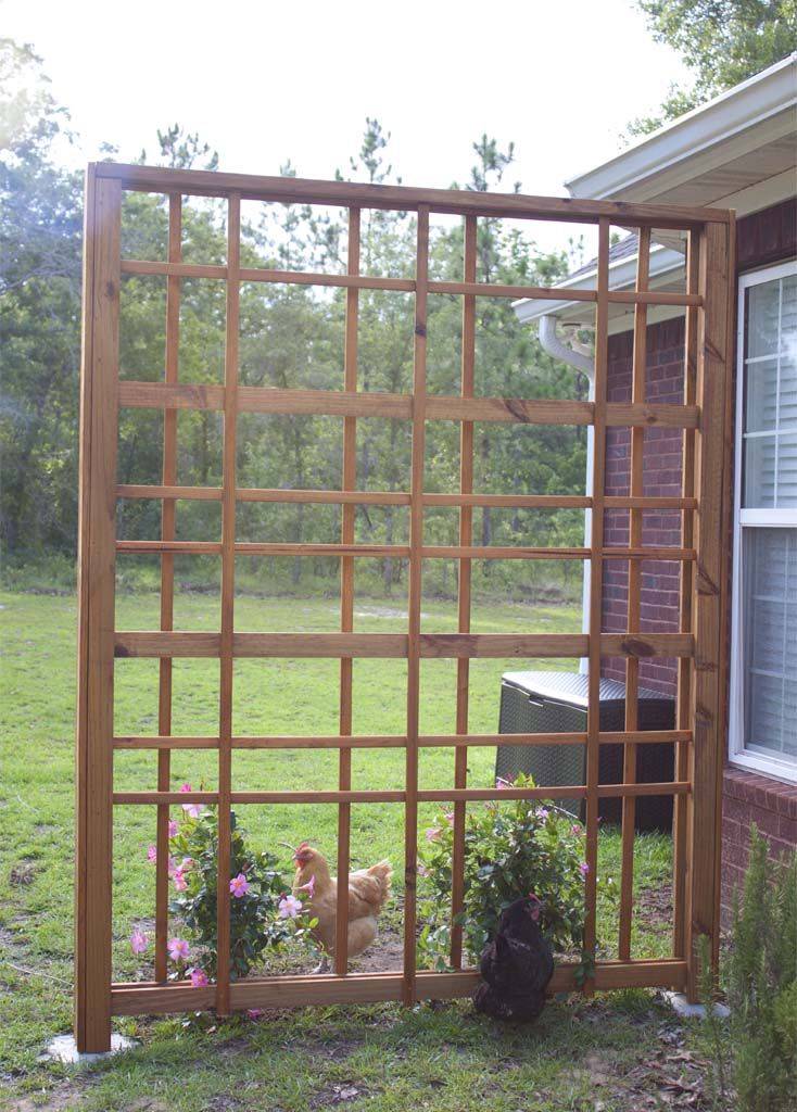 Innovative And Easy Diy Garden Trellis Ideas