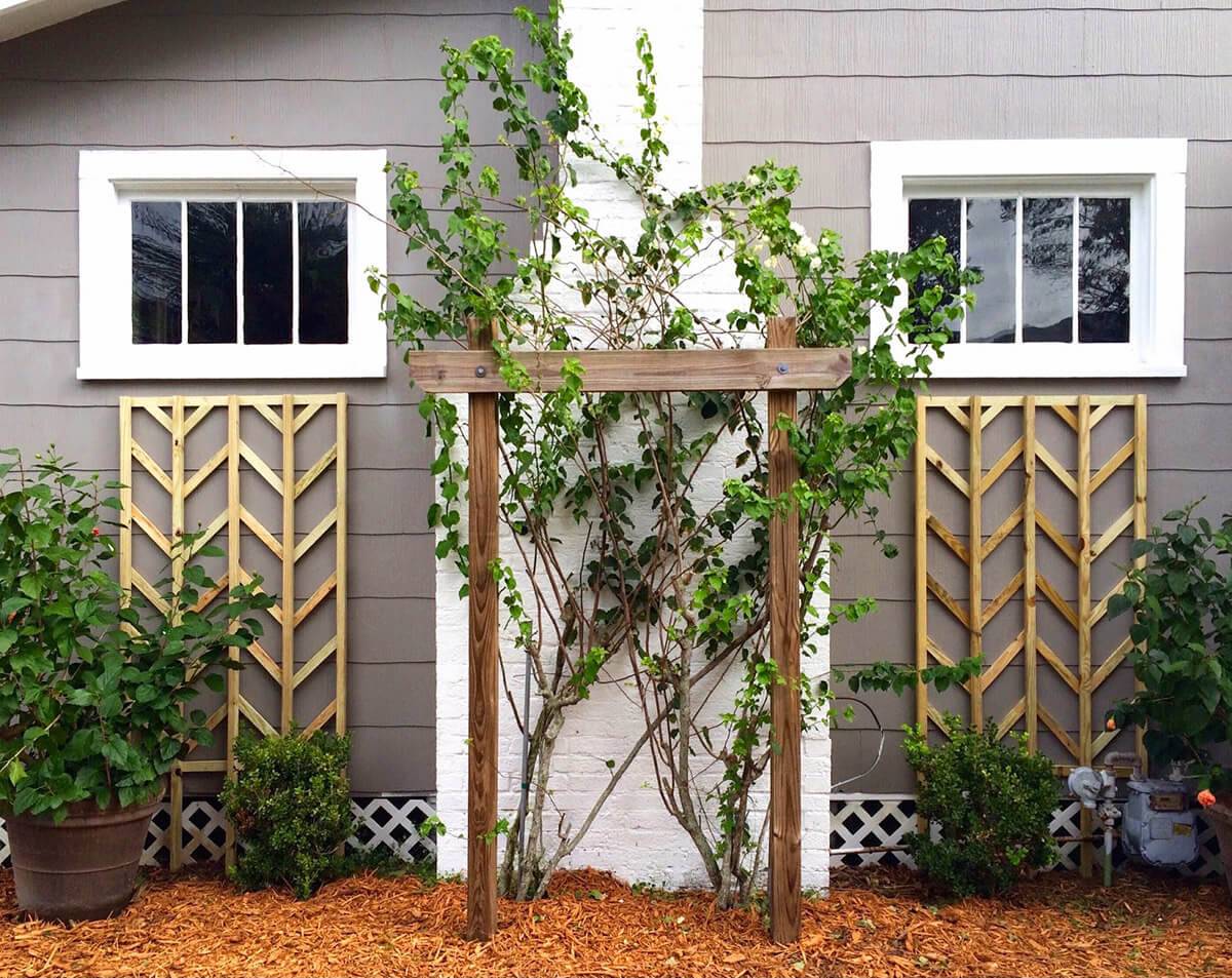 Diy Trellis Ideas
