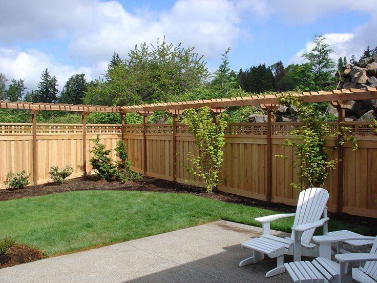 Sale Titolo Grape Vine Support Ideas