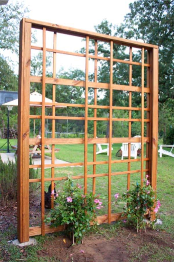 Creative And Easy Diy Trellis Ideas