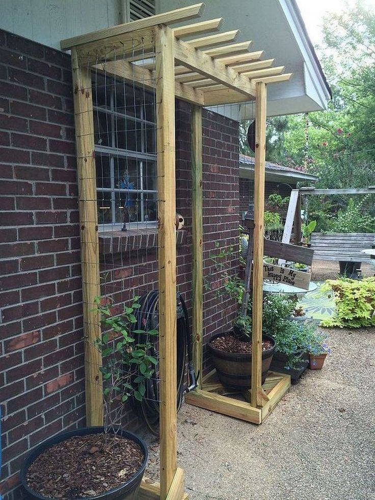 Best Diy Trellis Ideas
