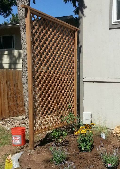 Small Garden Trellis