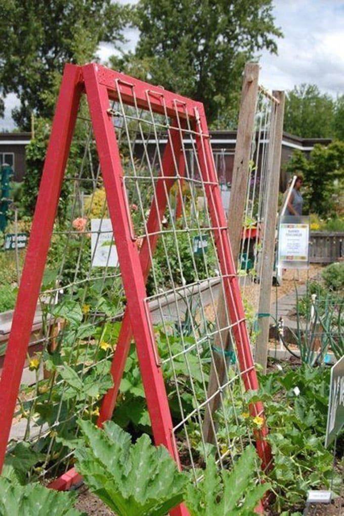 Best Diy Garden Trellis Ideas
