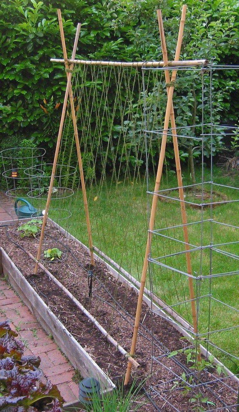 Bamboo Trellis