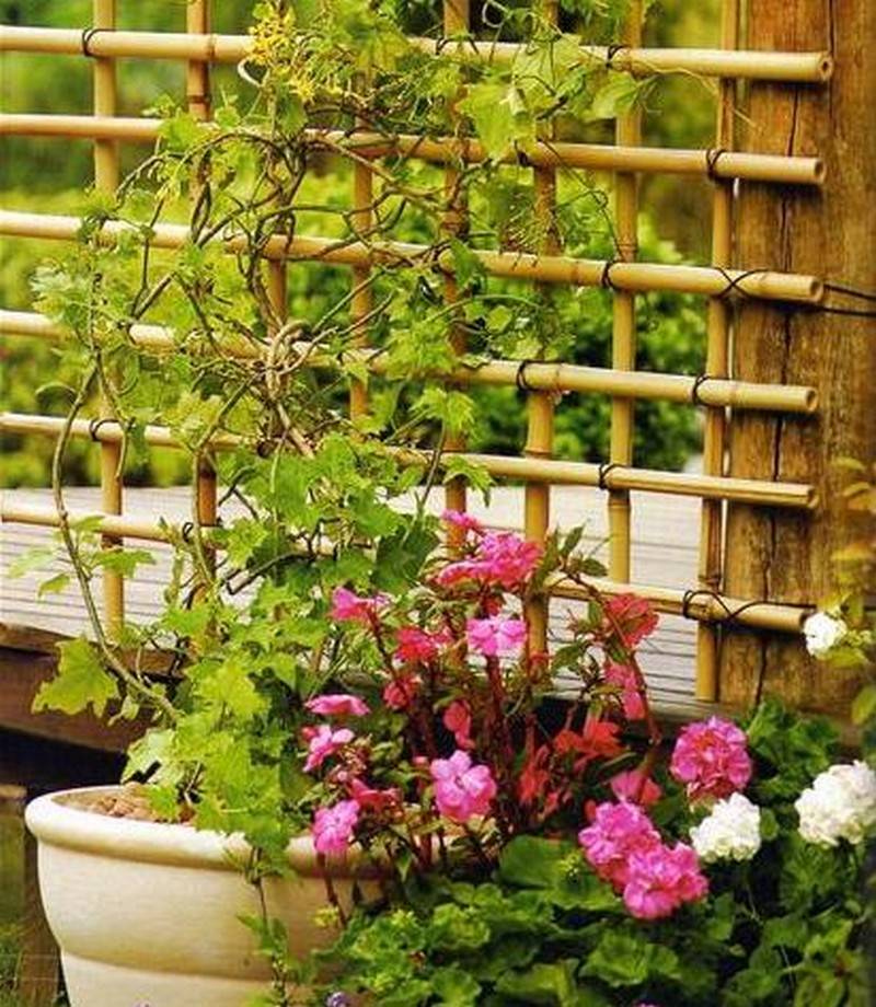 Private Bamboo Fence Design Ideas