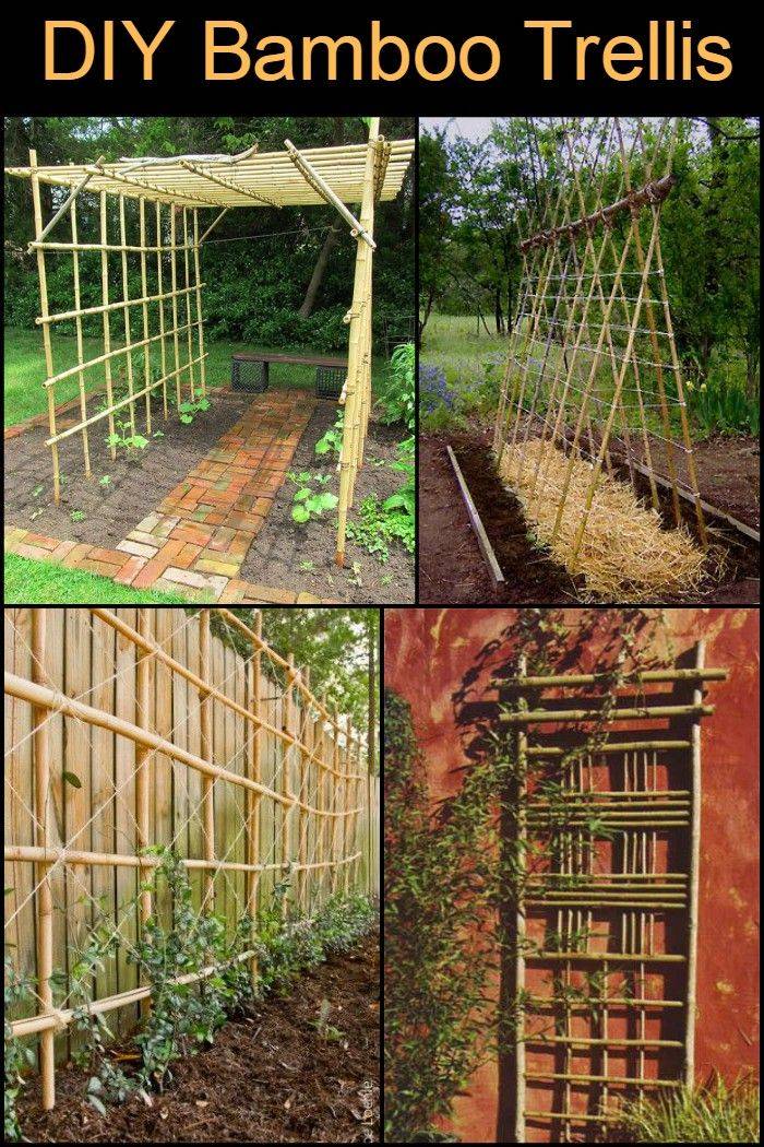 Easy Diy Garden Trellis Ideas