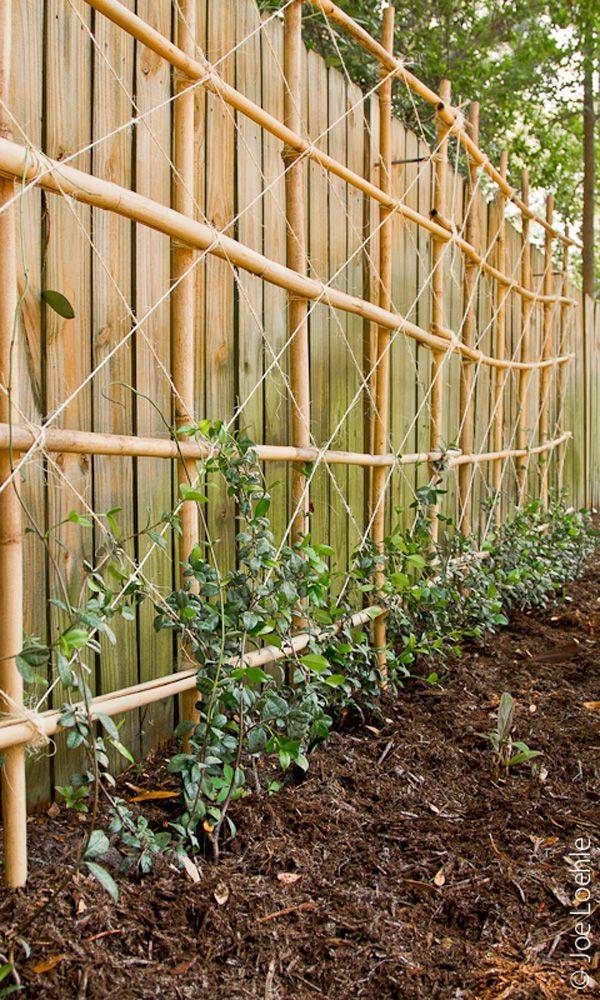 Bamboo Garden Trellis Ideas