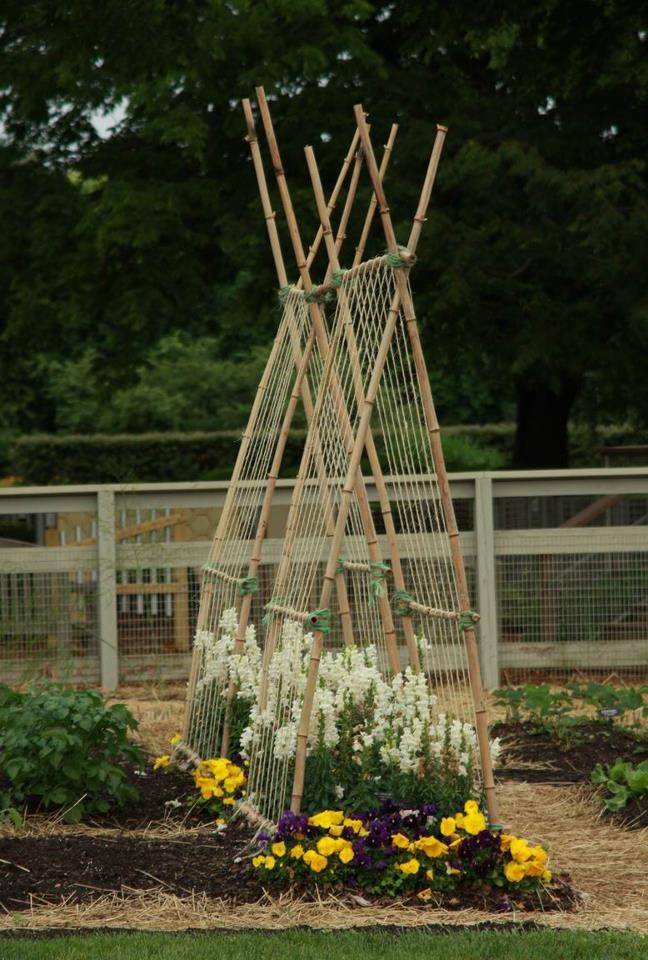 Bamboo Garden Trellis Ideas Bamboo Twine Tomato Cagetrellis Cedros