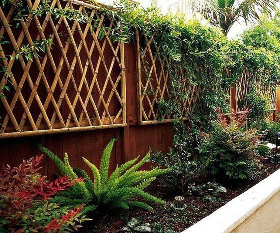 Bamboo Pea Trellis Diy New Interior Design