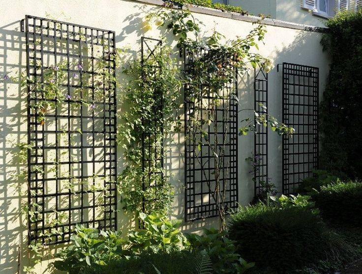 Diy Trellis Ideas