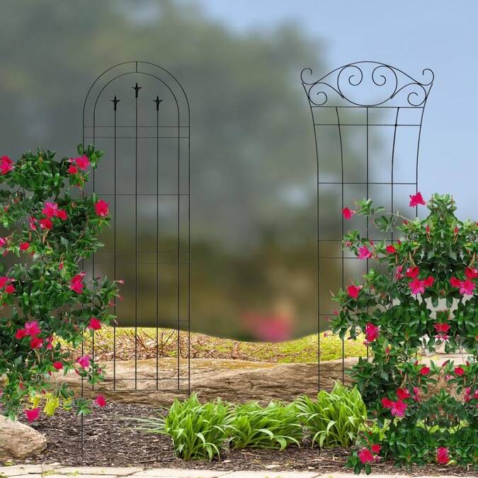 Garden Trellis
