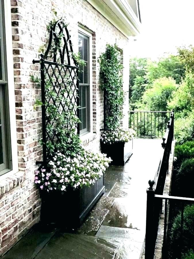 Shop Garden Treasures In W X In H Black Garden Trellis