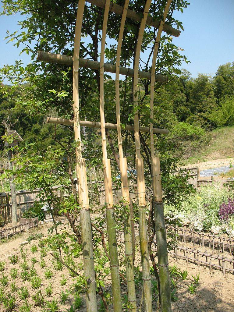 Oriental Furniture Japanese Bamboo Garden