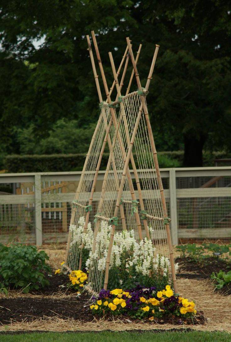 Bamboo Trellis Gardenvinestrellis Arch Trellis
