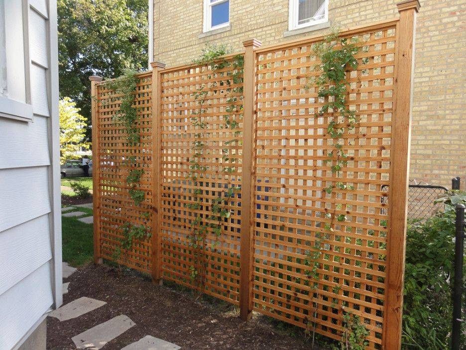 Diy Trellis