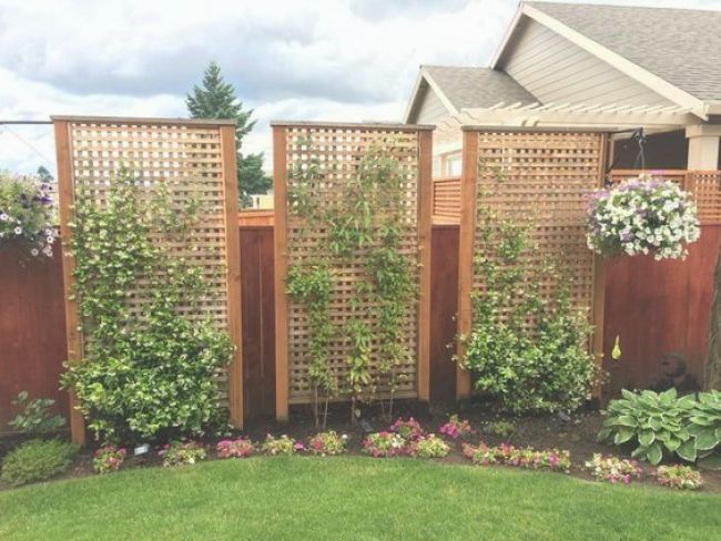 A Garden Privacy Screen