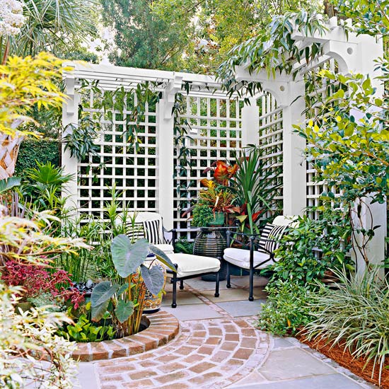 A Garden Privacy Screen