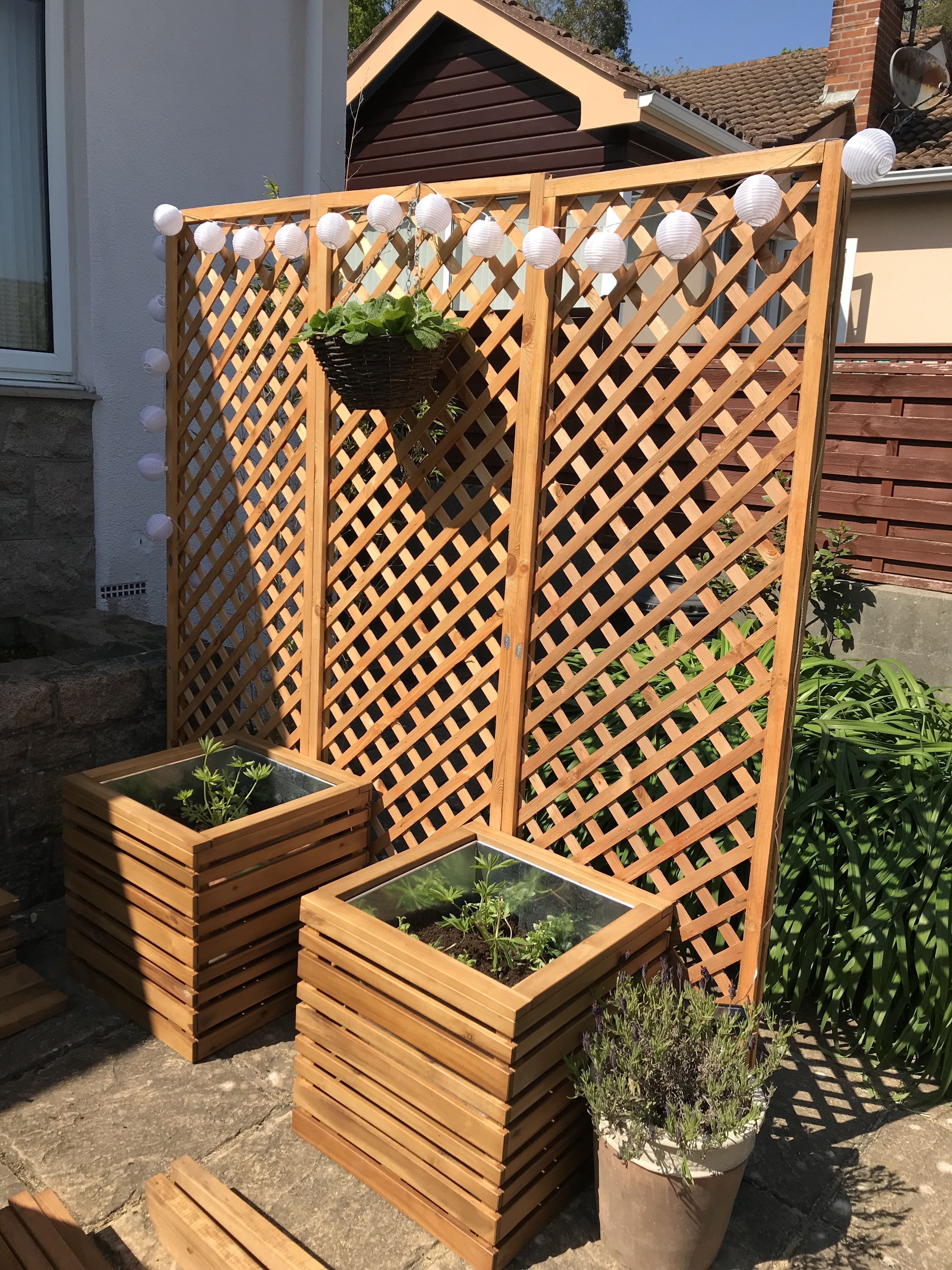 Outdoor Eucalyptus Configurable Privacy Screen Trellises