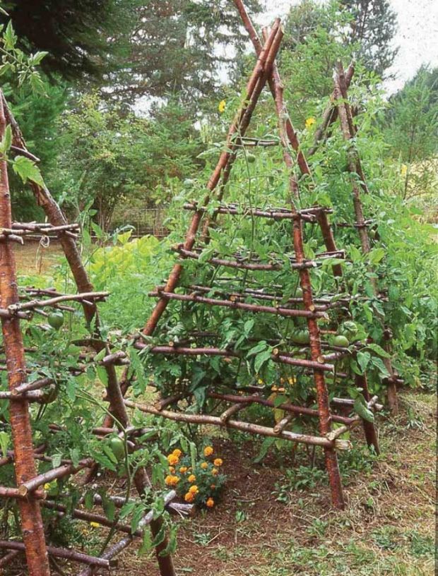 Unique Garden Trellis Ideas