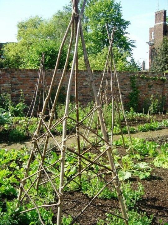 How To Build A Rustic Branch Twig Tuteur Diy Garden Projects Diy