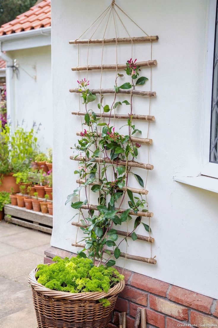 Garden Structures