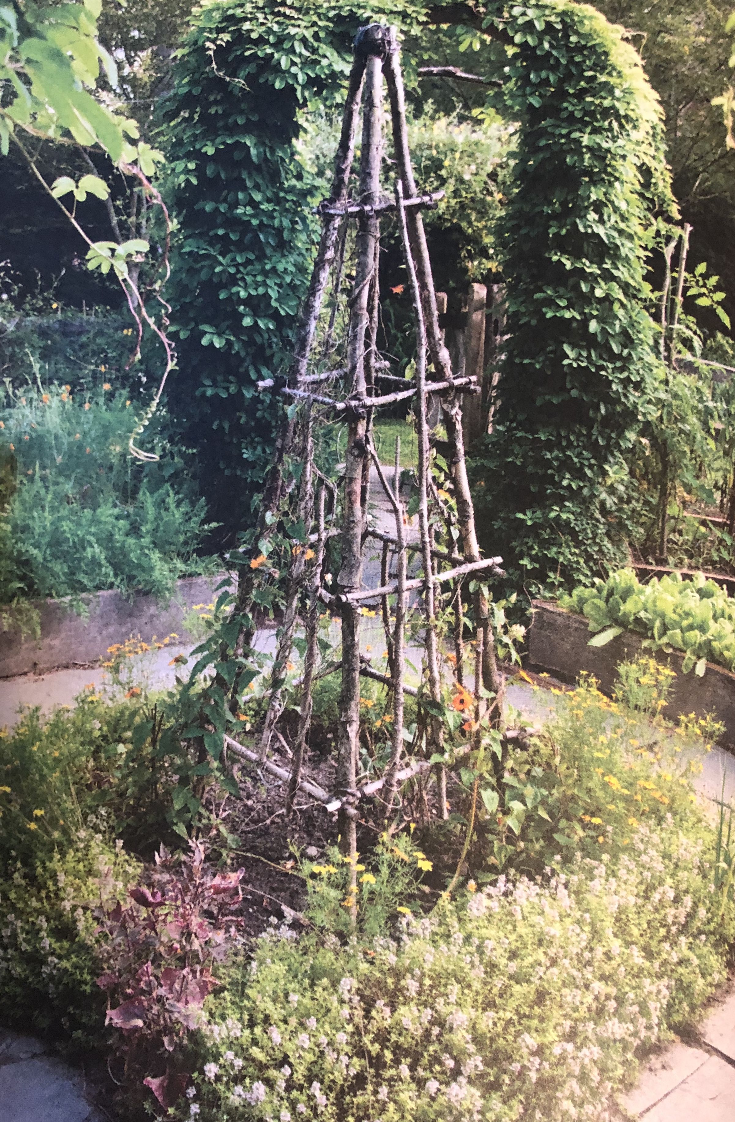 My Yard Trellis