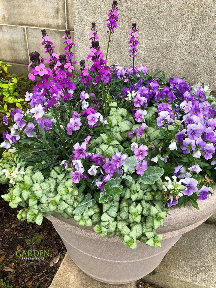 Creative And Trendy Container Garden Ideas Youll Love To Follow