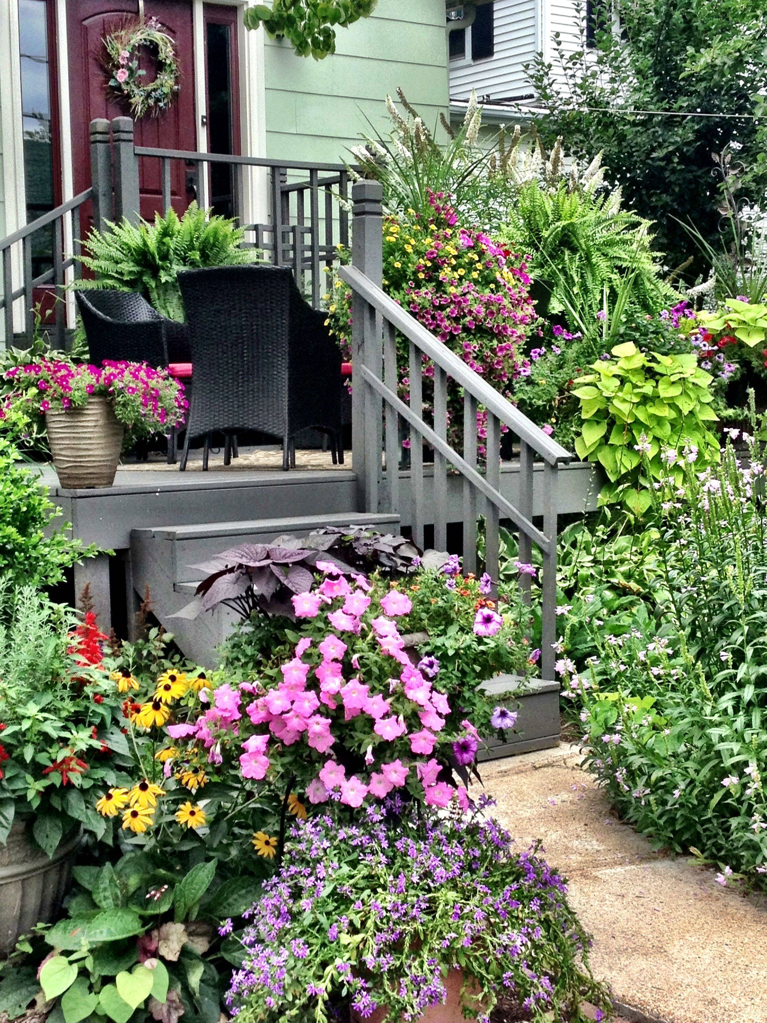 Shade Plants