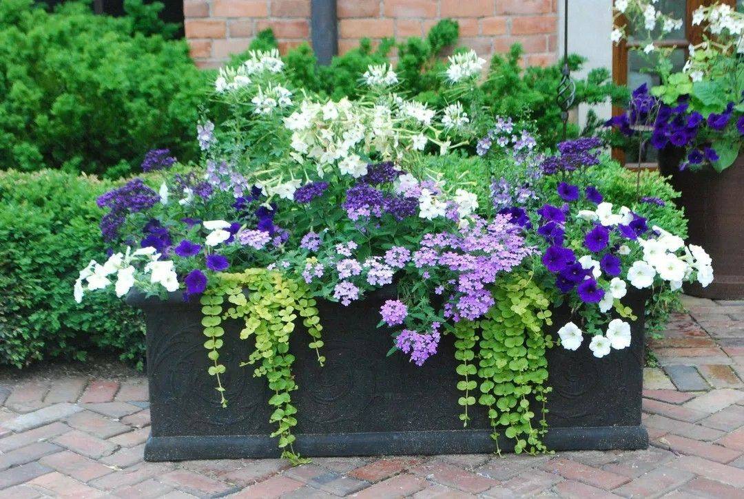 Shade Planter White Gardens