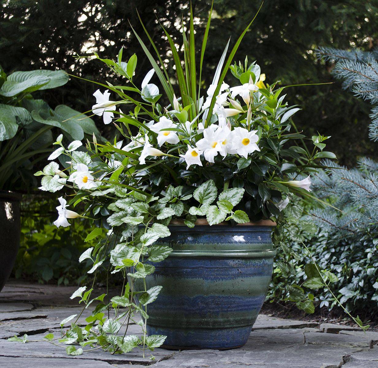 Simple Container Garden Flowers Ideas Container Gardening Flowers