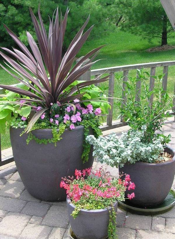 More Creative Garden Container Ideas Decor Dy
