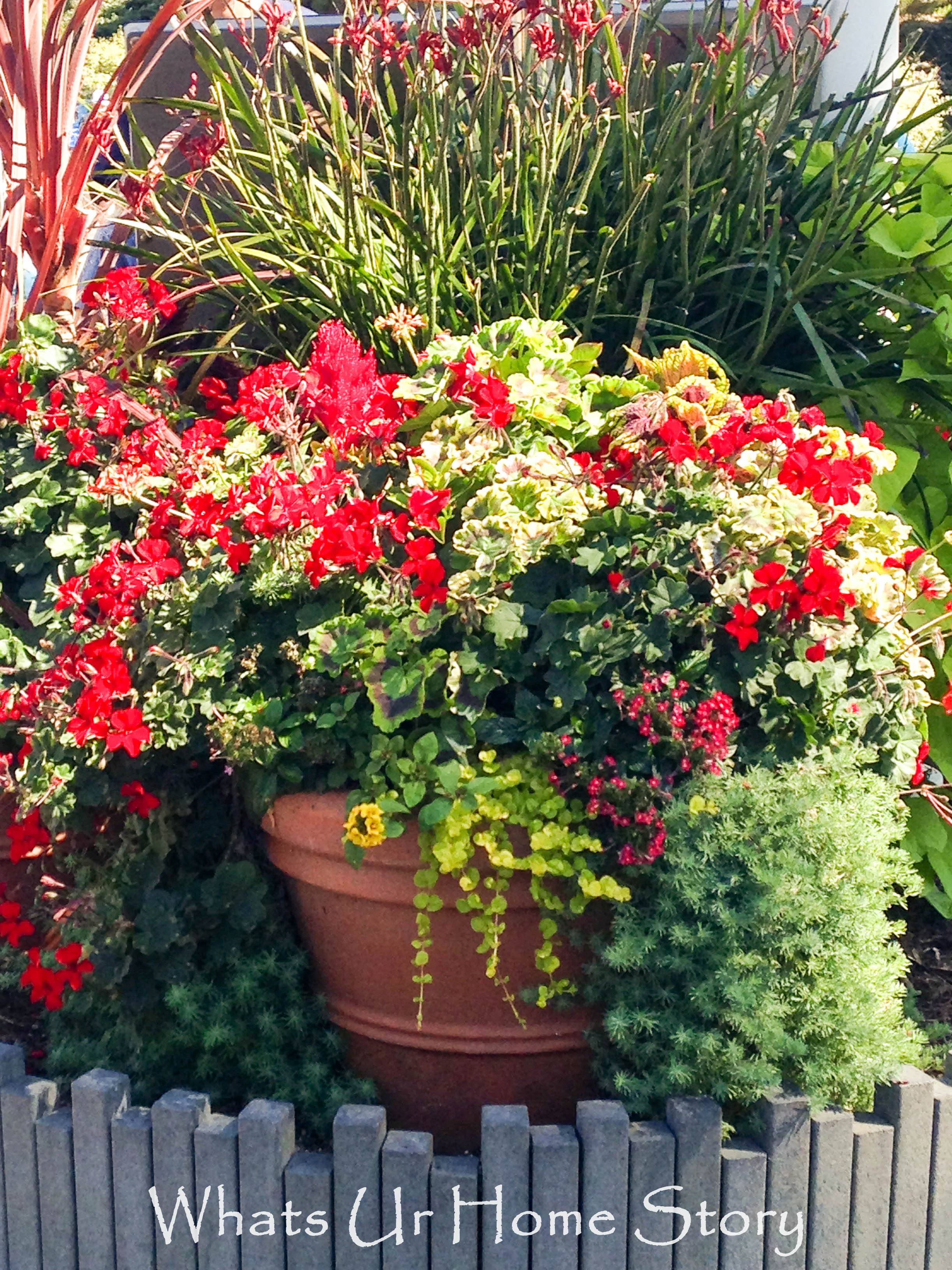 Lovely Tropical Garden Design Ideas