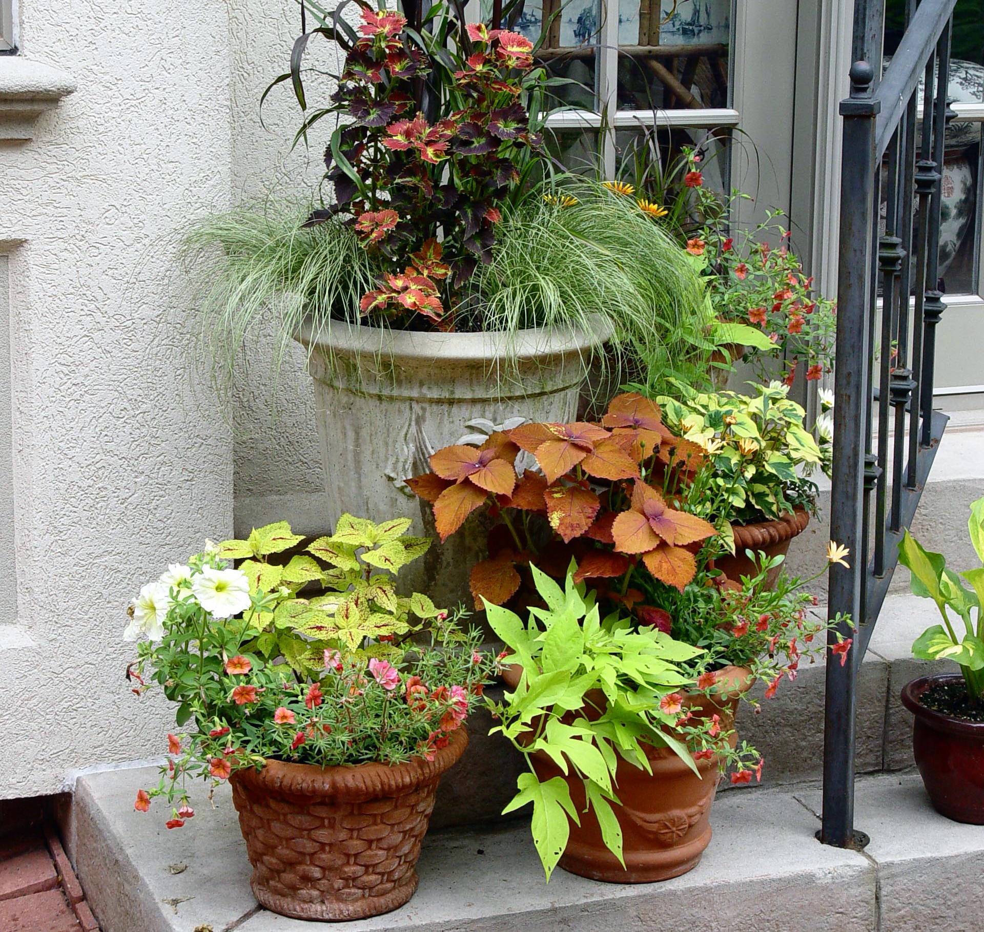 Container Gardens